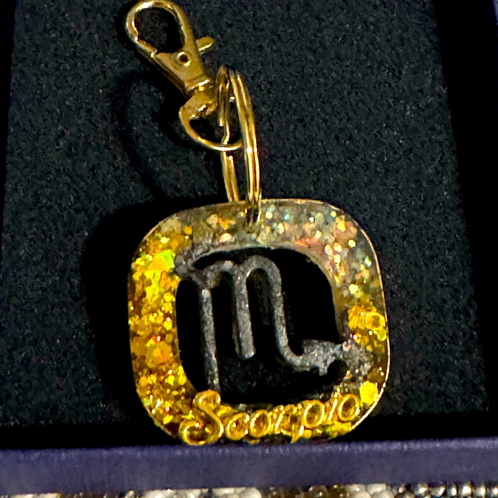 5 for $20 🌹 New handmade resin SCORPIO ♏️ Astrology keychain